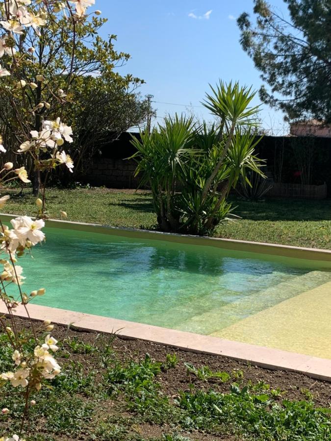 Le Patio, Chambres D Hotes Pour Adultes En Camargue, Possibilite De Naturisme A La Piscine, Aimargues Eksteriør bilde