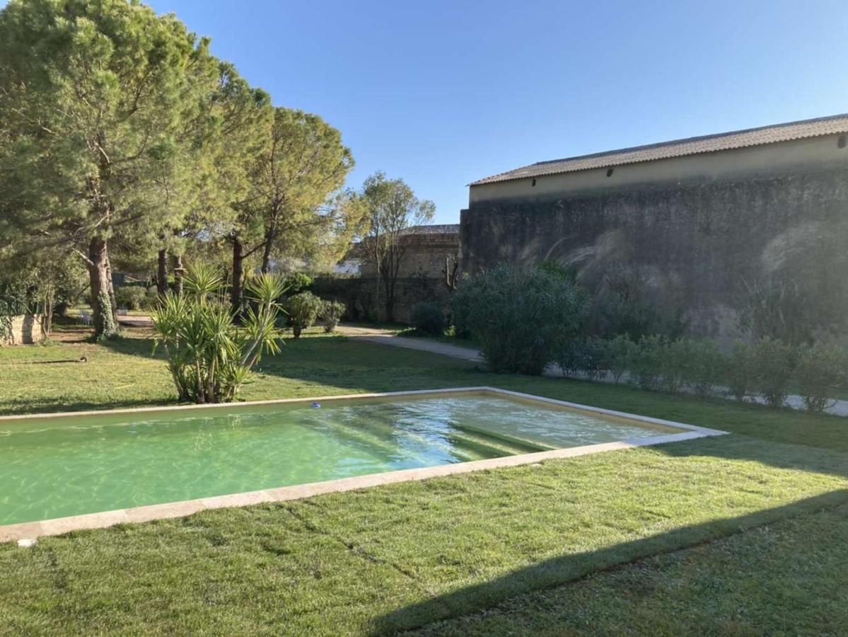 Le Patio, Chambres D Hotes Pour Adultes En Camargue, Possibilite De Naturisme A La Piscine, Aimargues Eksteriør bilde