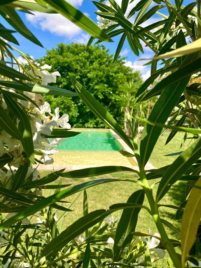 Le Patio, Chambres D Hotes Pour Adultes En Camargue, Possibilite De Naturisme A La Piscine, Aimargues Eksteriør bilde