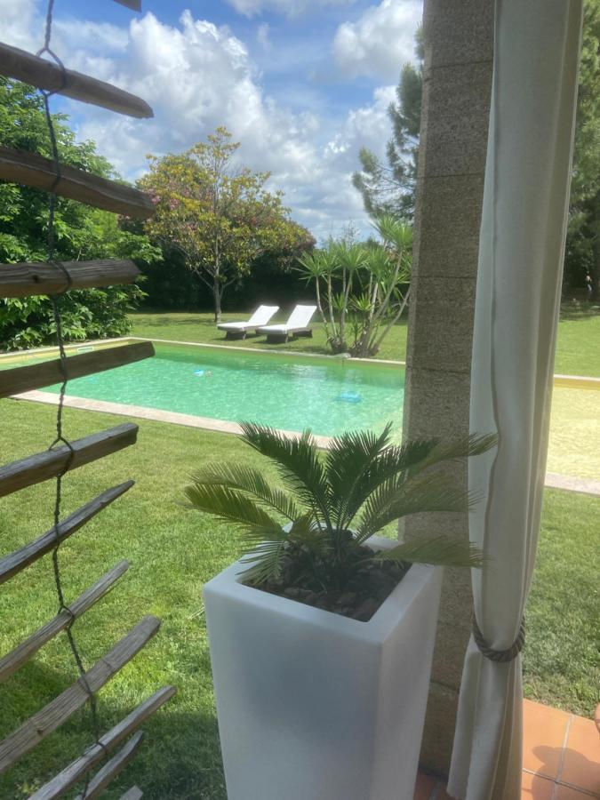 Le Patio, Chambres D Hotes Pour Adultes En Camargue, Possibilite De Naturisme A La Piscine, Aimargues Eksteriør bilde